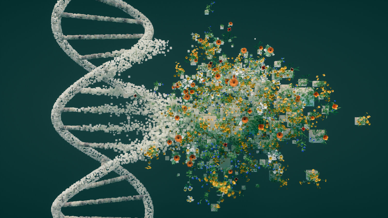 A DNA double helix dissolving into a burst of wildflowers